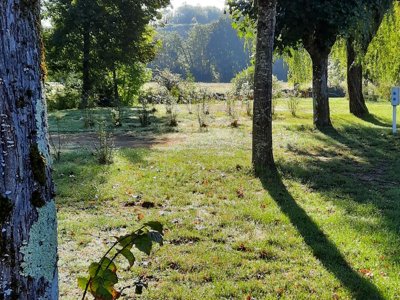 camping Le Chapeau Chinois photo 6