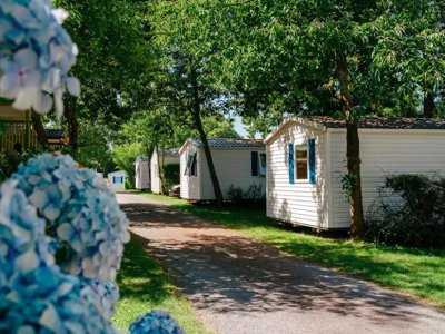 Cliquez pour découvrir toutes les photos de l'ÉTABLISSEMENT ! camping Flower La Blanche Hermine photo 13