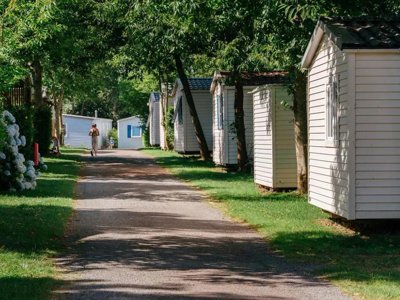 Cliquez pour découvrir toutes les photos de l'ÉTABLISSEMENT ! camping Flower La Blanche Hermine photo 28