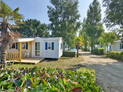 Cliquez pour découvrir toutes les photos de l'ÉTABLISSEMENT ! établissement Paradis - Les Palmiers photo 11