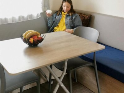 Cliquez pour découvrir toutes les photos de l'HÉBERGEMENT ! mobil-home - Paradis - Les Palmiers photo 3