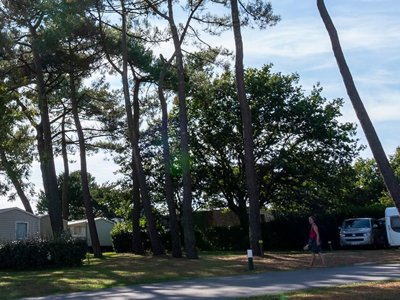 Cliquez pour découvrir toutes les photos de l'ÉTABLISSEMENT ! camping Penn Mar photo 11