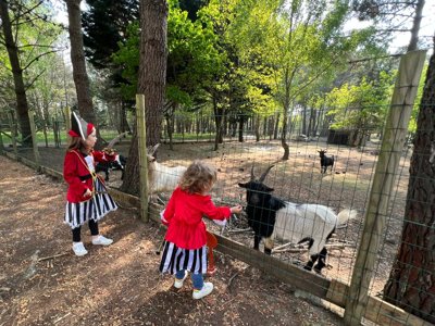 Cliquez pour découvrir toutes les photos de l'ÉTABLISSEMENT ! camping Les Bruyères Carnac photo 29