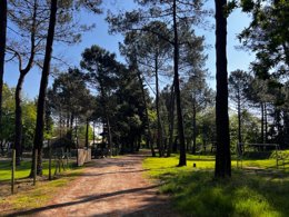 Camping Pas Cher vous présente avec son site Officiel campingpascher.fr, le Camping Les Bruyères Carnac classé 4 étoiles, situé sur la commune de Carnac dans le département Morbihan (Bretagne) en France. Le camping Les Bruyères Carnac, vous présente un hébergement de type hébergement insolite de 25 m² pour 5 personnes et télévision. Le camping Les Bruyères Carnac vous propose du sam. 29 août au sam. 05 septembre 2026 pour 7 nuits à 392€. Cette location propose 80 dates différentes pour réserver votre séjour. Découvrez également les 20 autres gammes d'hébergements du camping. Les Avis clients pour le Camping Les Bruyères Carnac sont excellents avec une note moyenne de 8 sur 10. Mer, Piscine chauffée, Piscine couverte, Animations familiales, Club enfants, Aire de jeux enfants, Canoë-kayak, Court de padel en extérieur, Court de tennis, Cyclisme, Golf, Jet-ski, Location de bateaux, Paddle, Ping-pong, Planche à voile, Plongée, Pétanque, Randonnée, Salle de fitness, Skatepark, Ski nautique, Structure gonflable enfants, Surf, Terrain de football, Trampoline, Voile, kiteSurf, Bar, Boulangerie, Brasserie, Bureau de tabac, Créperie, Pizzeria, Plats à emporter, Restaurant, Restaurant asiatique, Snack/Bar, Station-service, Supermarché, Épicerie,... En savoir plus : cliquez-ICI.