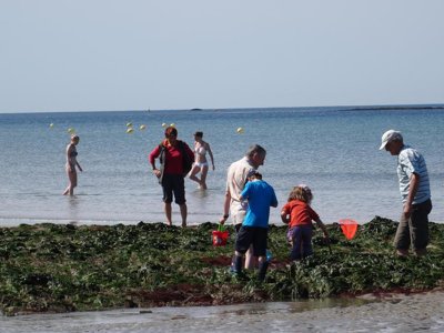 Cliquez pour découvrir toutes les photos de l'ÉTABLISSEMENT ! camping De La Plage photo 19