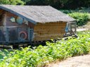 Cliquez pour découvrir toutes les photos de l'HÉBERGEMENT ! hébergement insolite - camping Les Castors photo 2