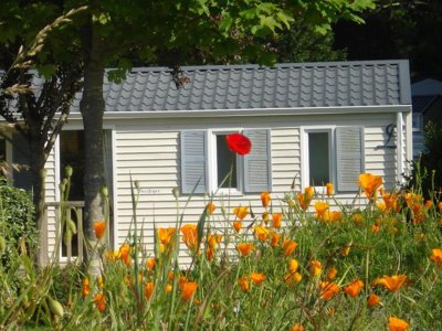 Cliquez pour découvrir toutes les photos de l'ÉTABLISSEMENT ! camping De Locouarn photo 22
