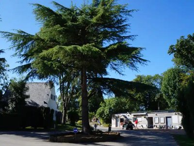 établissement Paradis Du Quinquis photo 20
