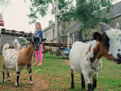 camping Du Vieux Verger Ty Noul photo 10