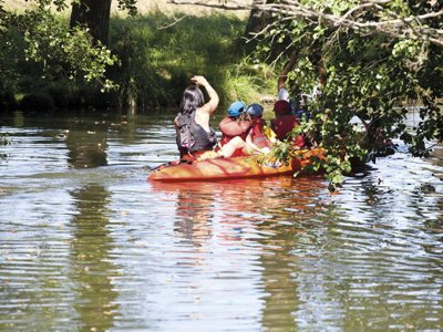 Cliquez pour découvrir toutes les photos de l'ÉTABLISSEMENT ! camping De L'Hippodrome photo 17