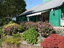 Cliquez pour découvrir toutes les photos de l'ÉTABLISSEMENT ! camping De L'Hippodrome photo 7