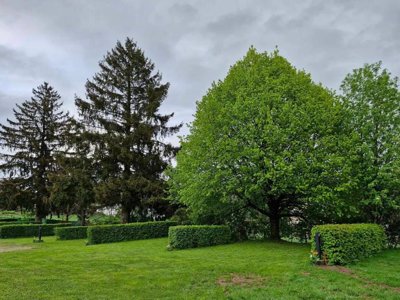 Cliquez pour découvrir toutes les photos de l'ÉTABLISSEMENT ! camping Fraiteux photo 14