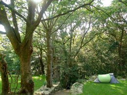 Camping Pas Cher vous présente avec son site Officiel campingpascher.fr, le Camping Ushuaïa Villages De Pont Calleck classé 3 étoiles, situé sur la commune de Inguiniel dans le département Morbihan (Bretagne) en France. Le camping Ushuaïa Villages De Pont Calleck, vous présente un hébergement de type mobil-home de 29 m². Le camping Ushuaïa Villages De Pont Calleck vous propose du sam. 04 avril au sam. 11 avril 2026 pour 7 nuits à 241.5€. Cette location propose 57 dates différentes pour réserver votre séjour. Découvrez également les 10 autres gammes d'hébergements du camping. Les Avis clients pour le Camping Ushuaïa Villages De Pont Calleck sont excellents avec une note moyenne de 9 sur 10. Rivière, Aire de jeux enfants, Canoë-kayak, Ping-pong, Randonnée, Terrain de volley-ball, Bar, Dépôt de pain, Restaurant, Épicerie,... En savoir plus : cliquez-ICI.