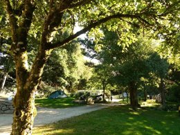 Camping Pas Cher vous présente avec son site Officiel campingpascher.fr, le Camping Ushuaïa Villages De Pont Calleck classé 3 étoiles, situé sur la commune de Inguiniel dans le département Morbihan (Bretagne) en France. Le camping Ushuaïa Villages De Pont Calleck, vous présente un hébergement de type bungalow de 32 m² pour 1 personne. Le camping Ushuaïa Villages De Pont Calleck vous propose du dimanche 10 mai au dimanche 17 mai 2026 pour 7 nuits à 172.5€. Cette location propose 48 dates différentes pour réserver votre séjour. Découvrez également les 10 autres gammes d'hébergements du camping. Les Avis clients pour le Camping Ushuaïa Villages De Pont Calleck sont excellents avec une note moyenne de 9 sur 10. Rivière, Aire de jeux enfants, Canoë-kayak, Ping-pong, Randonnée, Terrain de volley-ball, Bar, Dépôt de pain, Restaurant, Épicerie,... En savoir plus : cliquez-ICI.