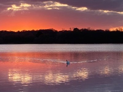 Cliquez pour découvrir toutes les photos de l'HÉBERGEMENT ! hébergement insolite - Le Lac O Fées photo 4