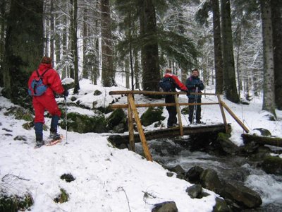 établissement Verte Vallée photo 29