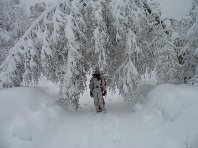 établissement Verte Vallée photo 30