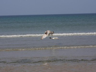 camping De Goulit Ar Guer photo 17