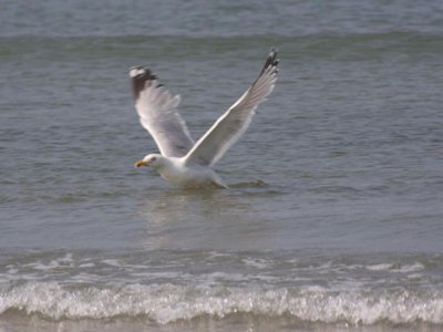 camping De Goulit Ar Guer photo 8