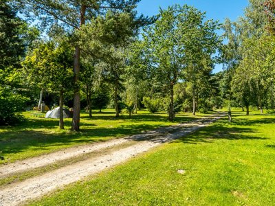 Cliquez pour découvrir toutes les photos de l'ÉTABLISSEMENT ! camping Les Reflets Du Val D'argent photo 5