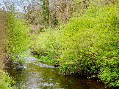 Cliquez pour découvrir toutes les photos de l'HÉBERGEMENT ! hébergement insolite - La Riviere D'Argent photo 7