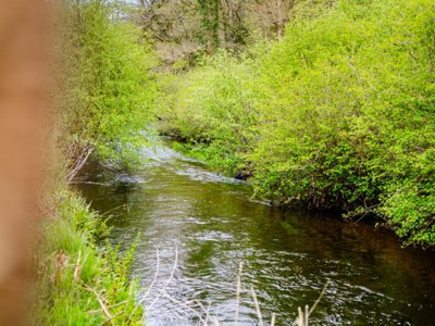 Cliquez pour découvrir toutes les photos de l'HÉBERGEMENT ! hébergement insolite - La Riviere D'Argent photo 5