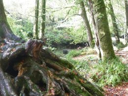 Camping Pas Cher vous présente avec son site Officiel campingpascher.fr, le Camping La Riviere D'Argent classé 3 étoiles, situé sur la commune de Huelgoat dans le département Finistère (Bretagne) en France. Le camping La Riviere D'Argent, vous présente un hébergement de type bungalow toilé de 11 m² pour 2 personnes. Le camping La Riviere D'Argent vous propose du sam. 04 avril au sam. 11 avril 2026 pour 7 nuits à 252€. Cette location propose 121 dates différentes pour réserver votre séjour. Découvrez également les 22 autres gammes d'hébergements du camping. Les Avis clients pour le Camping La Riviere D'Argent sont excellents avec une note moyenne de 8 sur 10. Piscine chauffée, Piscine couverte, Aire de jeux enfants, Ping-pong, Trampoline, Bar, Dépôt de pain, Snack/Bar,... En savoir plus : cliquez-ICI.