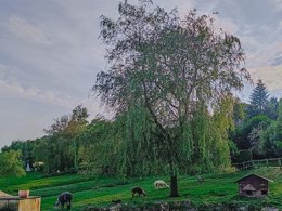 Camping Pas Cher vous présente avec son site Officiel campingpascher.fr, le Camping Monaco Parc classé 4 étoiles, situé sur la commune de Longny Au Perche dans le département Orne (Basse Normandie) en France. Le camping Monaco Parc, vous présente un hébergement de type mobil-home de 30 m² pour 4 personnes et télévision. Le camping Monaco Parc vous propose du sam. 04 avril au sam. 11 avril 2026 pour 7 nuits à 325€. Cette location propose 34 dates différentes pour réserver votre séjour. Découvrez également les 3 autres gammes d'hébergements du camping. Les Avis clients pour le Camping Monaco Parc sont excellents avec une note moyenne de 8 sur 10. Étang, Piscine couverte, Piscine extérieure, Animation enfants, Animations familiales, Aire de jeux enfants, Parcours sportif, Ping-pong, Pédalo, Pétanque, Salle de fitness, Terrain multisports, Snack/Bar,... En savoir plus : cliquez-ICI.