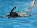 Cliquez pour découvrir toutes les photos de l'ÉTABLISSEMENT ! établissement Du Loc'Han photo 2