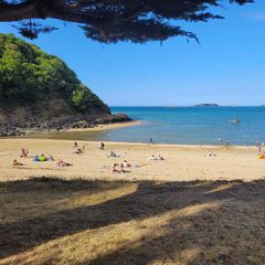 Camping Pas Cher vous présente avec son site Officiel campingpascher.fr, le Établissement Mirabel Le Clos Tranquille, situé sur la commune de Saint Cast Le Guildo dans le département Cotes-armor (Bretagne) en France. L'établissement Mirabel Le Clos Tranquille vous propose un hébergement de type mobilhome de 29 m². L'établissement vous propose 3 autres types d'hébergements. Découvrez tous nos séjours à petits prix dans la commune et aux alentours de Saint Cast Le Guildo du département : Cotes-armor (Bretagne).... En savoir plus : cliquez-ICI.