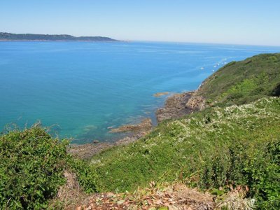 camping Des Hautes Grées photo 28