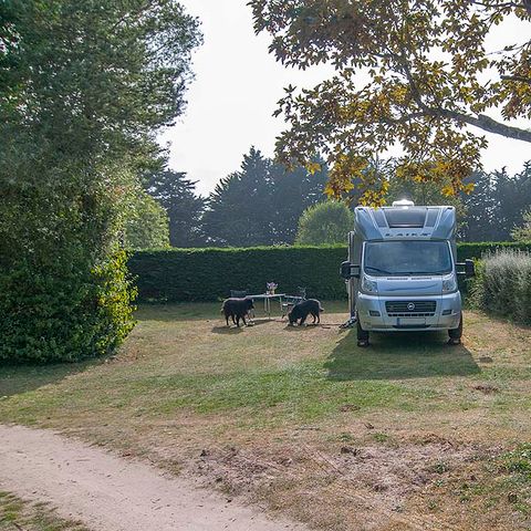 Cliquez pour découvrir toutes les photos de l'ÉTABLISSEMENT ! établissement Ode Vras photo 5
