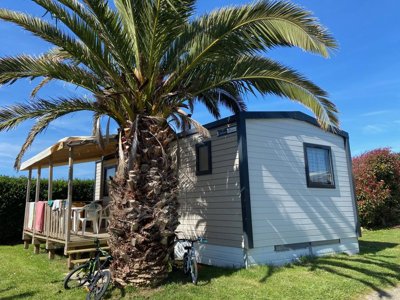 Cliquez pour découvrir toutes les photos de l'ÉTABLISSEMENT ! camping Flower Le Mat photo 14
