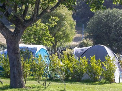 Cliquez pour découvrir toutes les photos de l'ÉTABLISSEMENT ! camping Flower Le Mat photo 22