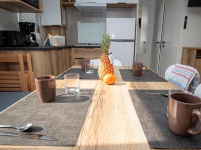 Cliquez pour découvrir toutes les photos de l'HÉBERGEMENT ! mobil-home - Mirabel De L'Ermitage photo 6