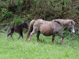 Camping Pas Cher vous présente avec son site Officiel campingpascher.fr, le Camping L'Escapade classé 4 étoiles, situé sur la commune de Cahagnolles dans le département Calvados (Basse Normandie) en France. Le camping L'Escapade, vous présente un hébergement de type mobil-home de 17 m² et télévision. Le camping L'Escapade vous propose du sam. 04 avril au sam. 11 avril 2026 pour 7 nuits à 329€. Cette location propose 167 dates différentes pour réserver votre séjour. Découvrez également les 13 autres gammes d'hébergements du camping. Les Avis clients pour le Camping L'Escapade sont de 7 sur 10. MerÉtang, Piscine chauffée, Piscine couverte, Animations familiales, Club enfants, Aire de jeux enfants, Baby-foot, Court de tennis, Ping-pong, Piscine, Pétanque, Randonnée, Structure gonflable enfants, Terrain multisports, Bar, Dépôt de pain, Snack/Bar, Épicerie,... En savoir plus : cliquez-ICI.
