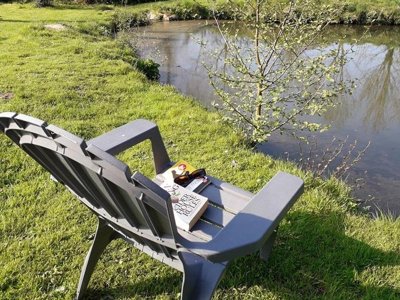 camping Le Picard photo 13