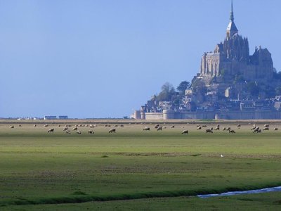 camping Le Picard photo 29