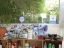 camping Le Picard photo 6