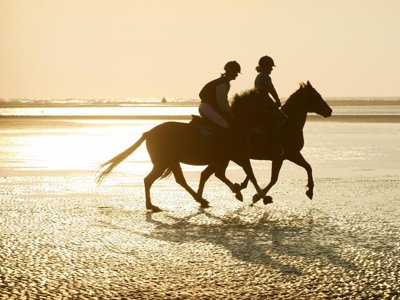 Cliquez pour découvrir toutes les photos de l'ÉTABLISSEMENT ! camping Mirabel Les Prairies De La Mer photo 16