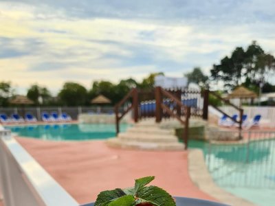 Cliquez pour découvrir toutes les photos de l'ÉTABLISSEMENT ! camping Mirabel Les Prairies De La Mer photo 24