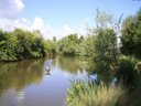 Cliquez pour découvrir toutes les photos de l'ÉTABLISSEMENT ! camping Mirabel Les Prairies De La Mer photo 5