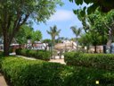 Cliquez pour découvrir toutes les photos de l'ÉTABLISSEMENT ! camping Sènia Caballo De Mar photo 10