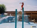 Cliquez pour découvrir toutes les photos de l'ÉTABLISSEMENT ! camping Sènia Caballo De Mar photo 3