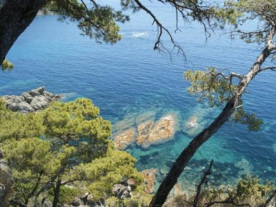 camping Clair De Lune photo 16
