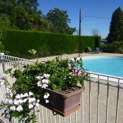 Camping Pas Cher vous présente avec son site Officiel campingpascher.fr, le Établissement Le Clos Normand, situé sur la commune de Bourg Achard dans le département Eure (Haute Normandie) en France. L'établissement Le Clos Normand vous propose un hébergement de type mobilhome. L'établissement vous propose 2 autres types d'hébergements. Découvrez tous nos séjours à petits prix dans la commune et aux alentours de Bourg Achard du département : Eure (Haute Normandie).... En savoir plus : cliquez-ICI.
