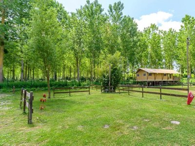 Cliquez pour découvrir toutes les photos de l'ÉTABLISSEMENT ! camping Flower De La Trye photo 10