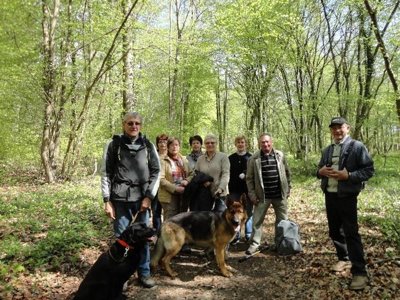 camping Les Etangs Du Moulin photo 25