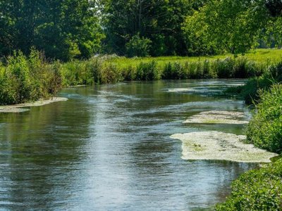 Cliquez pour découvrir toutes les photos de l'ÉTABLISSEMENT ! camping Flower Des 2 Rivières photo 17