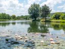 Cliquez pour découvrir toutes les photos de l'ÉTABLISSEMENT ! camping Flower Des 2 Rivières photo 3